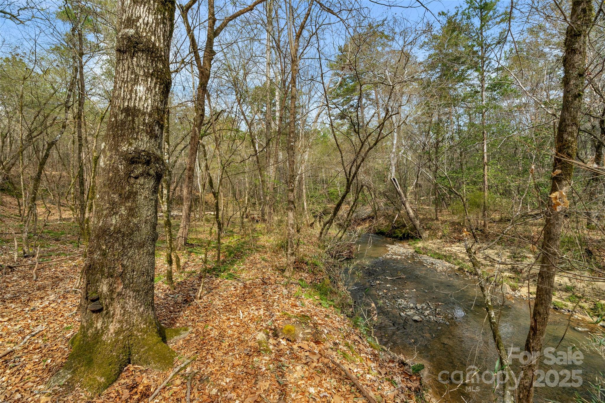 0 Green Road, Unit C Lancaster, SC 29720 - Photo 15 of 40 Gallery Image 15