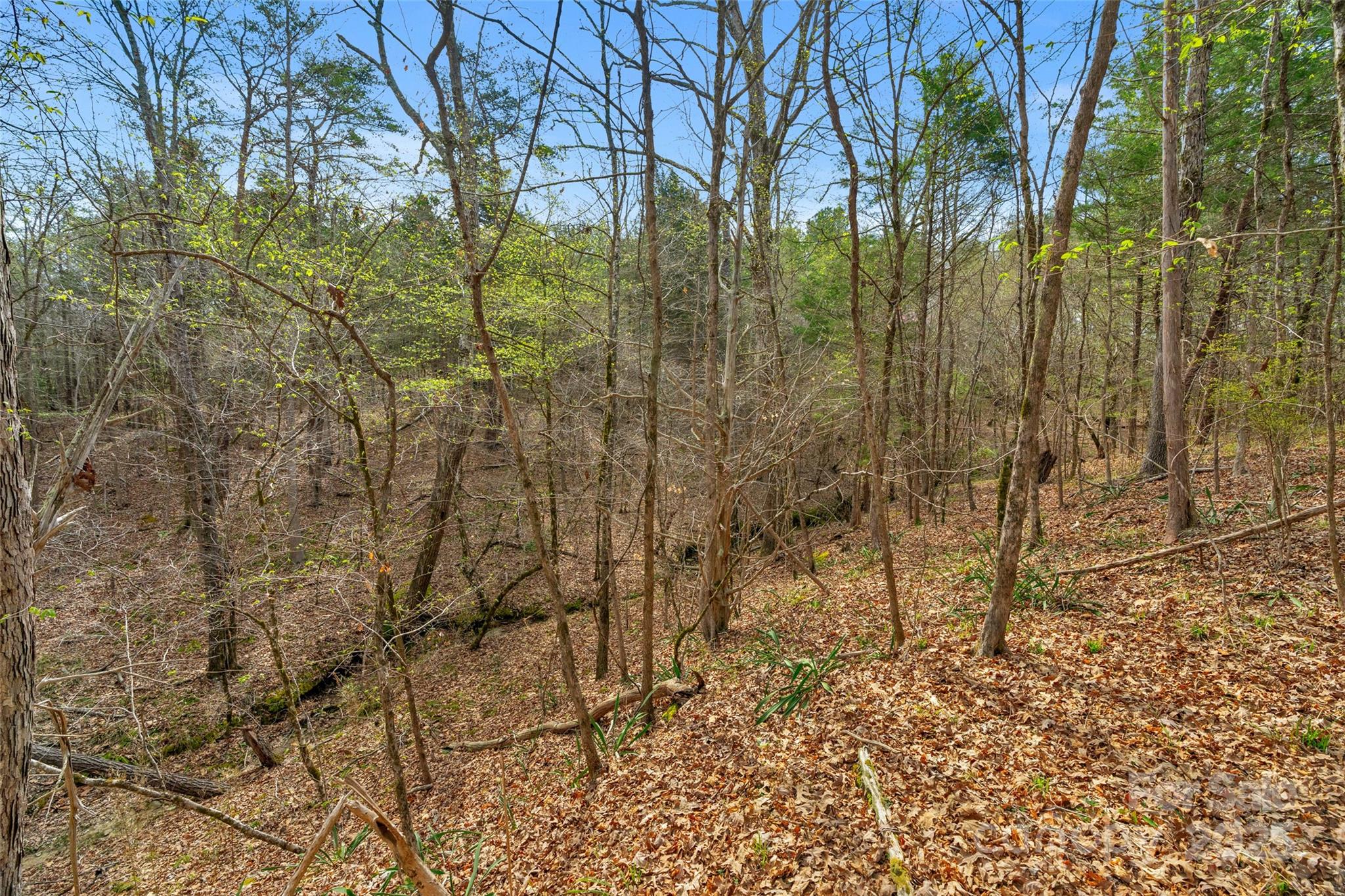 0 Green Road, Unit C Lancaster, SC 29720 - Photo 19 of 40 Gallery Image 19
