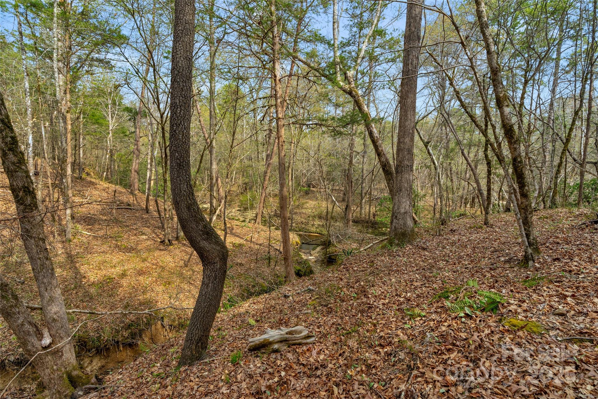 0 Green Road, Unit C Lancaster, SC 29720 - Photo 20 of 40 Gallery Image 20