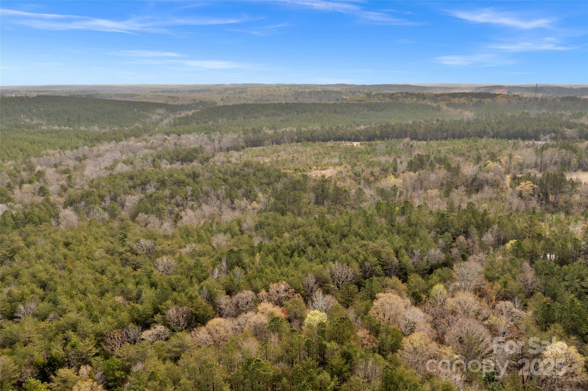 0 Green Road, Unit C Lancaster, SC 29720 - Photo 21 of 40 Gallery Image 21
