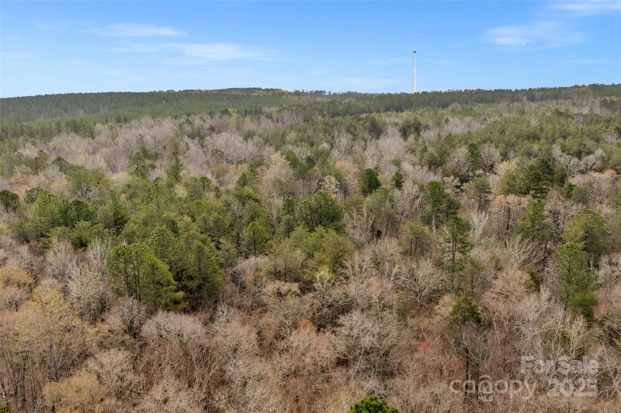 0 Green Road, Unit C Lancaster, SC 29720 - Photo 24 of 40 Gallery Image 24