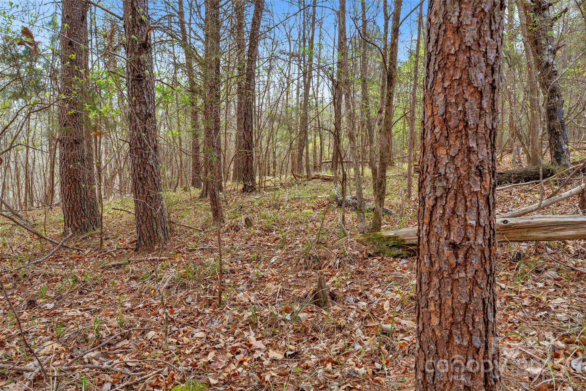 0 Green Road, Unit C Lancaster, SC 29720 - Photo 25 of 40 Gallery Image 25