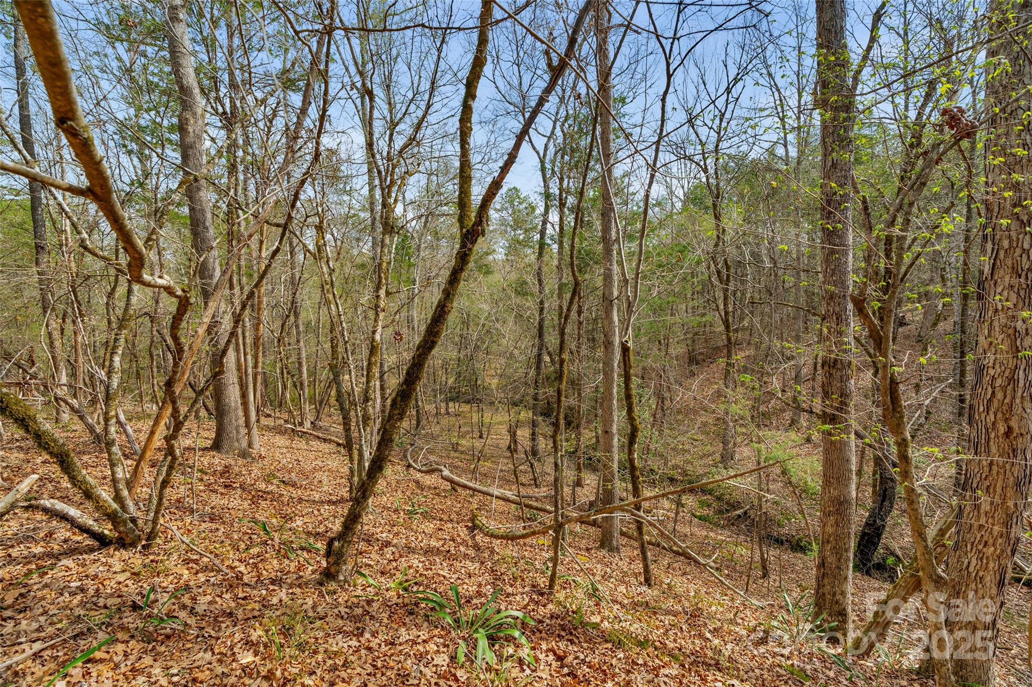0 Green Road, Unit C Lancaster, SC 29720 - Photo 35 of 40 Gallery Image 35