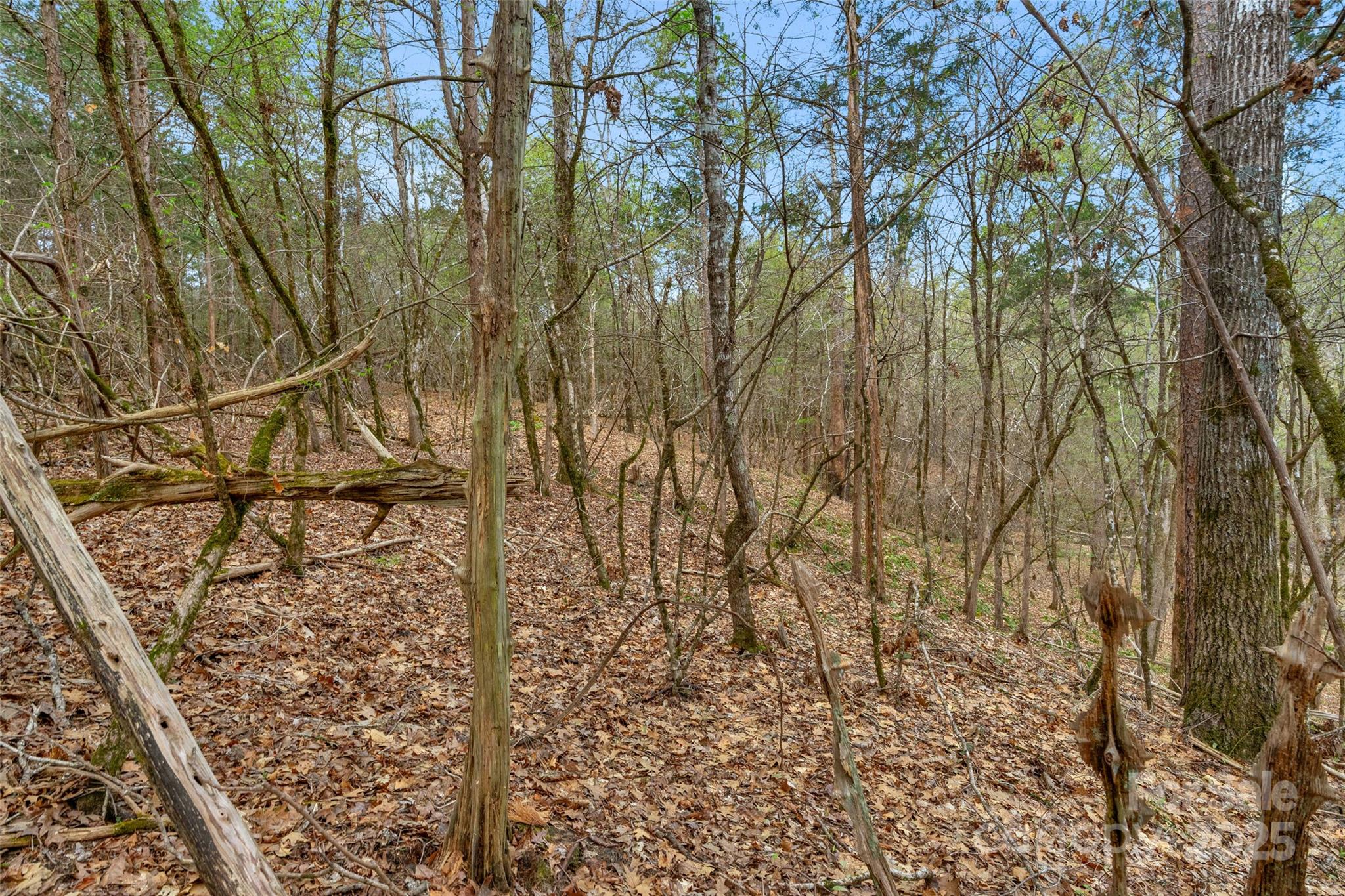 0 Green Road, Unit C Lancaster, SC 29720 - Photo 37 of 40 Gallery Image 37