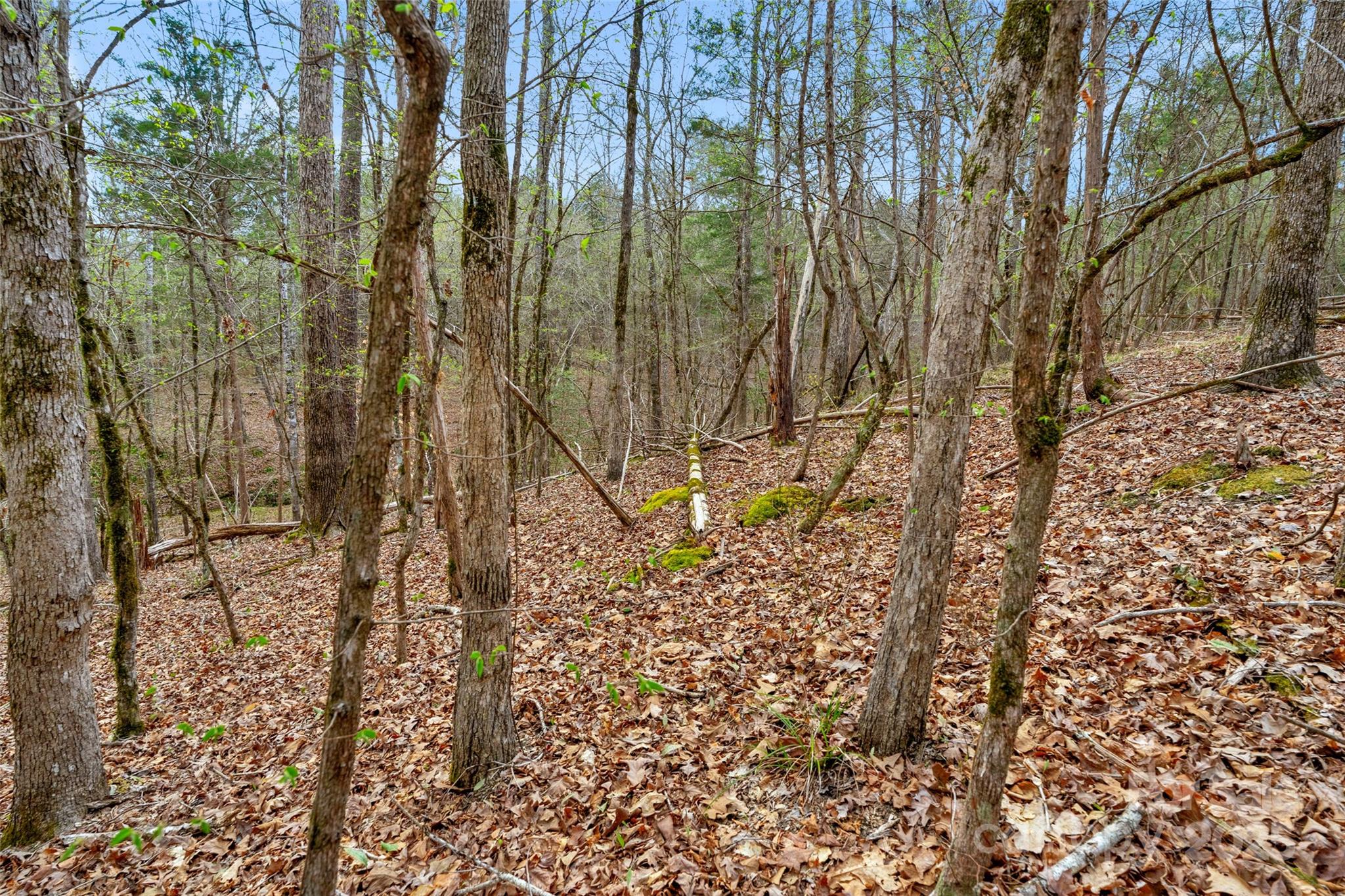 0 Green Road, Unit C Lancaster, SC 29720 - Photo 38 of 40 Gallery Image 38