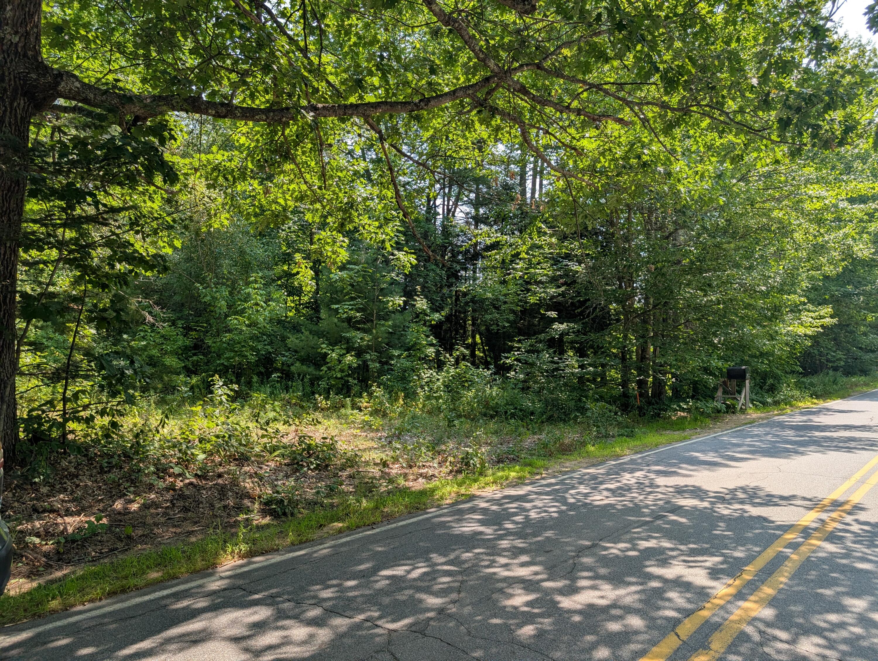 M05-lot29 Stow Road Stow, ME 04037 - Photo 1 of 18 Road view