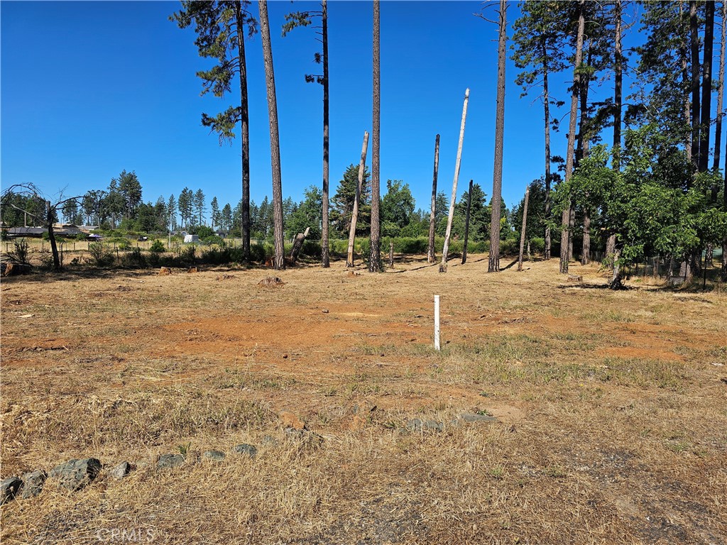 6849 Clark Road Paradise, CA 95969 - Photo 3 of 5