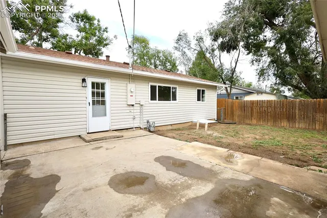 a view of a backyard with a large tree