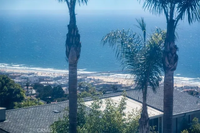 a view of a garden with flowers and flowers