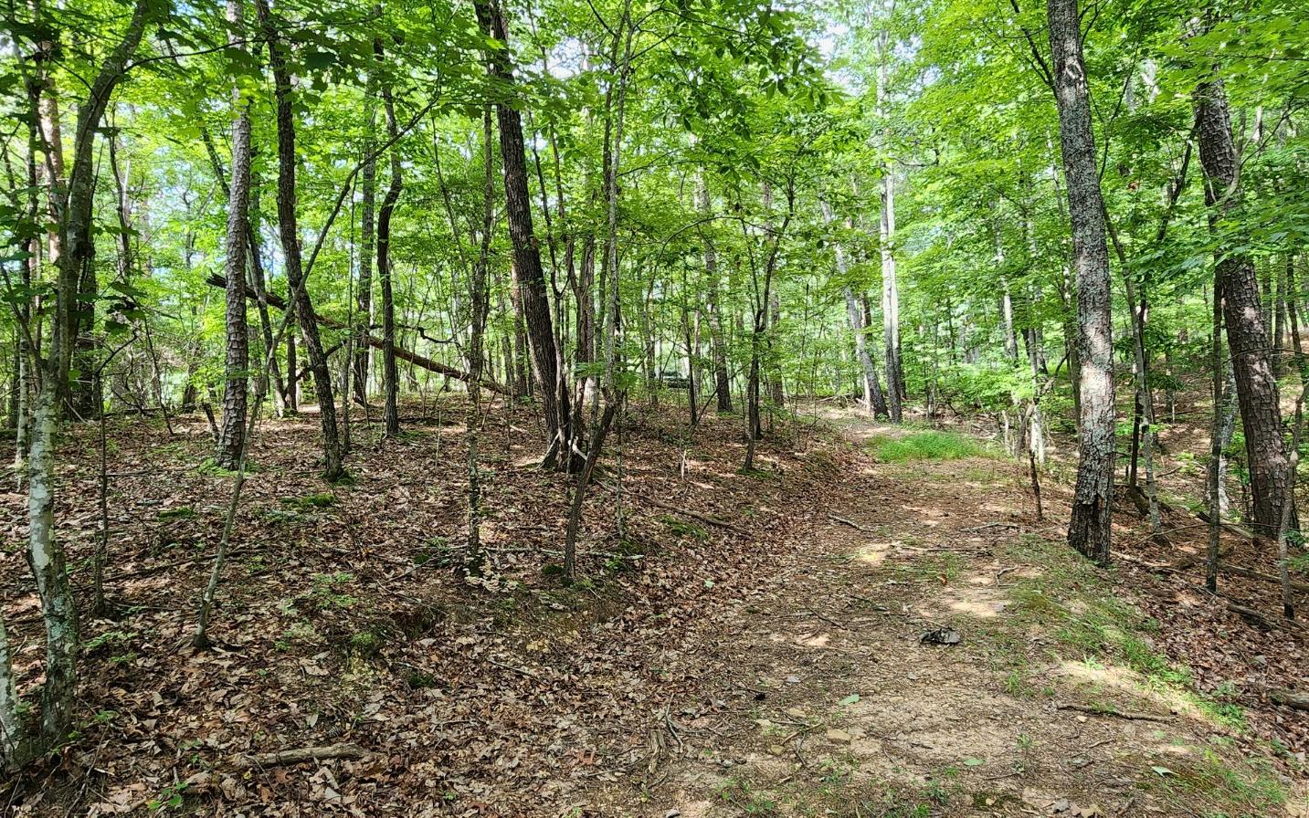 High Country Road Talking Rock, GA 30175 - Photo 2 of 10 Additional View