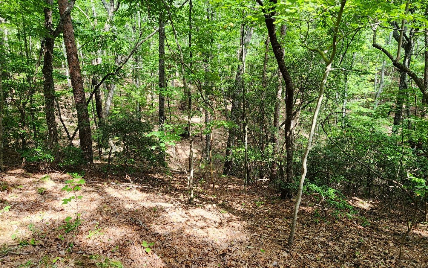 High Country Road Talking Rock, GA 30175 - Photo 5 of 10 Additional View