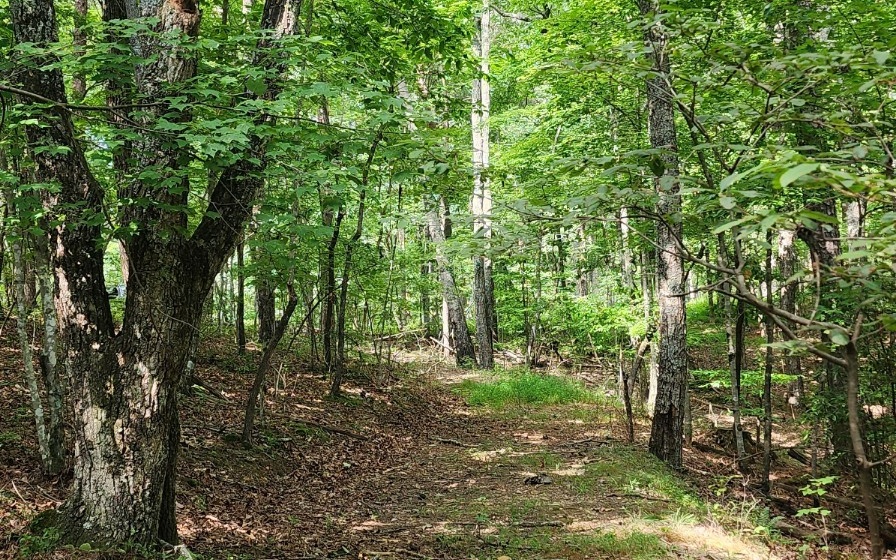 High Country Road Talking Rock, GA 30175 - Photo 6 of 10 Additional View