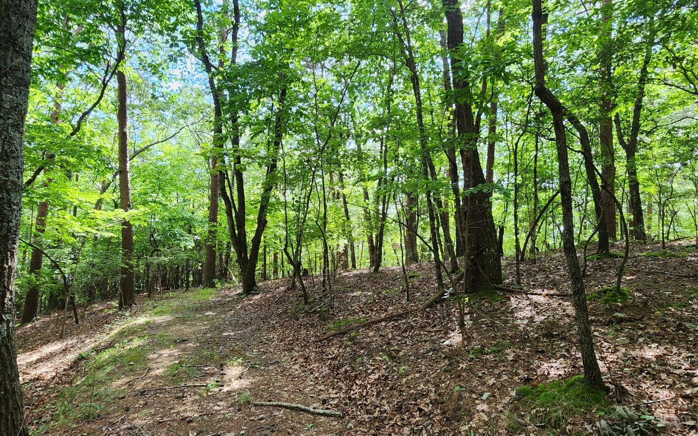 High Country Road Talking Rock, GA 30175 - Photo 8 of 10 Additional View