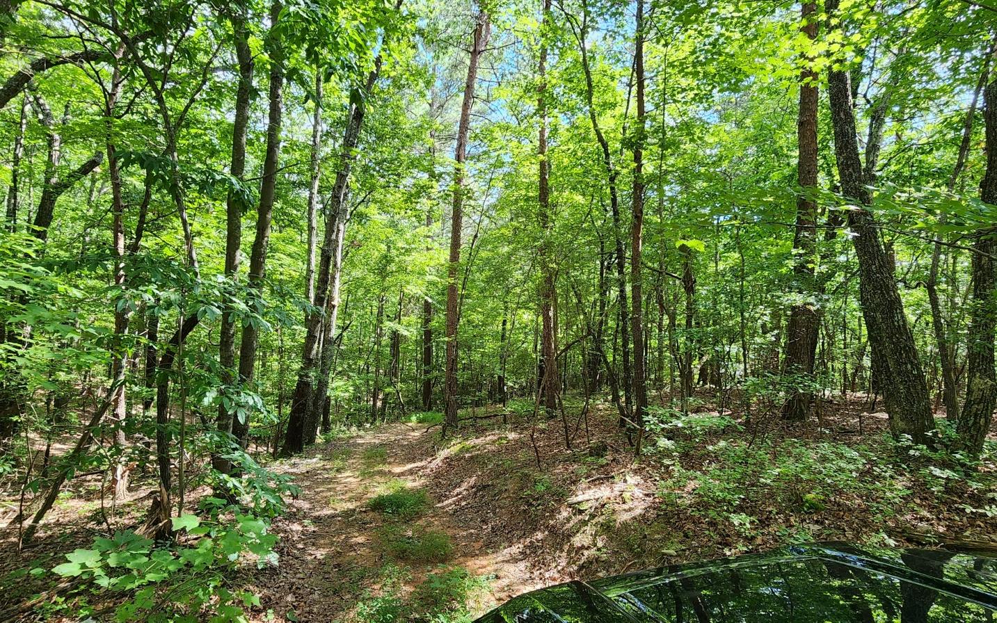 High Country Road Talking Rock, GA 30175 - Photo 9 of 10 Additional View