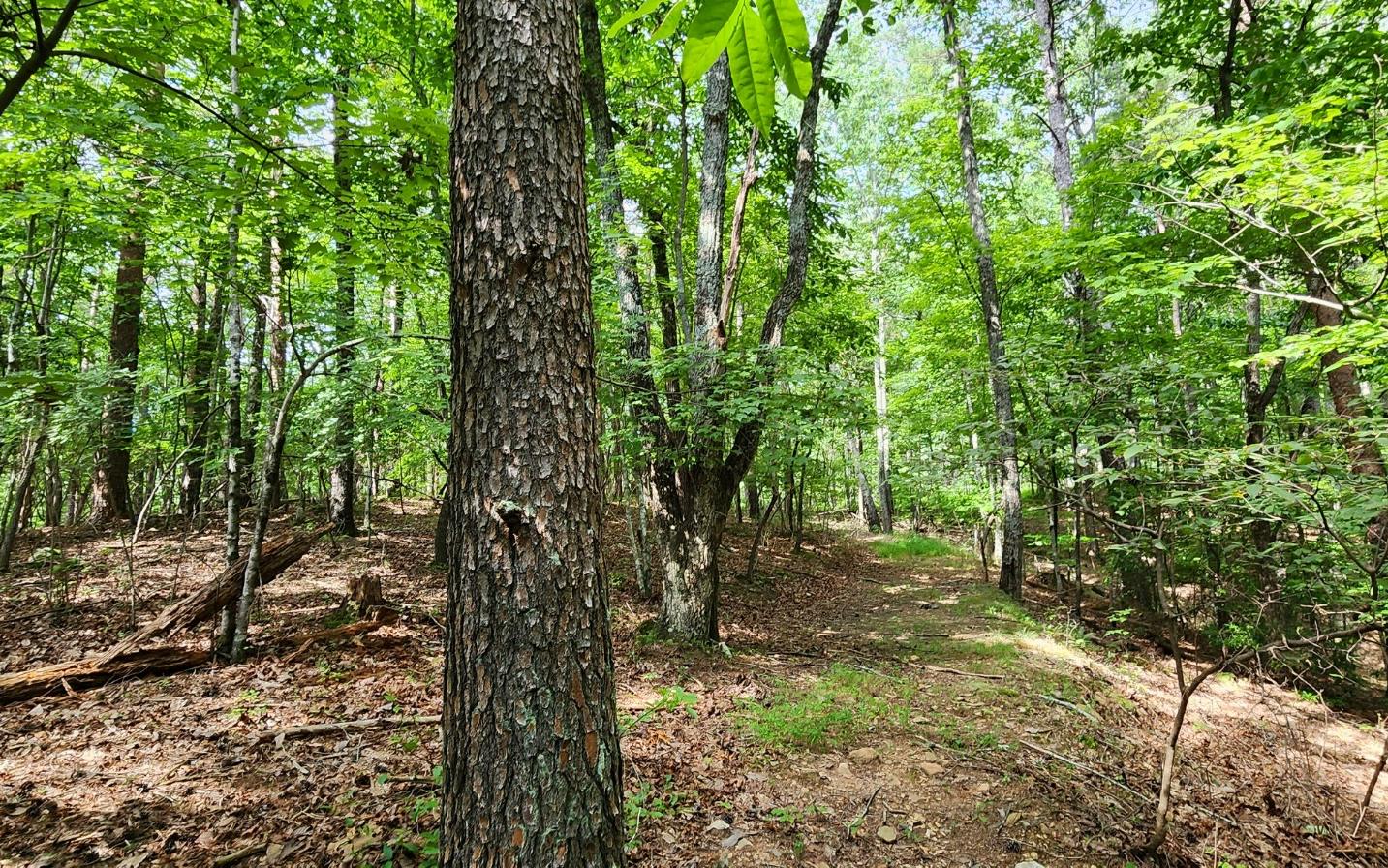 High Country Road Talking Rock, GA 30175 - Photo 10 of 10 Additional View