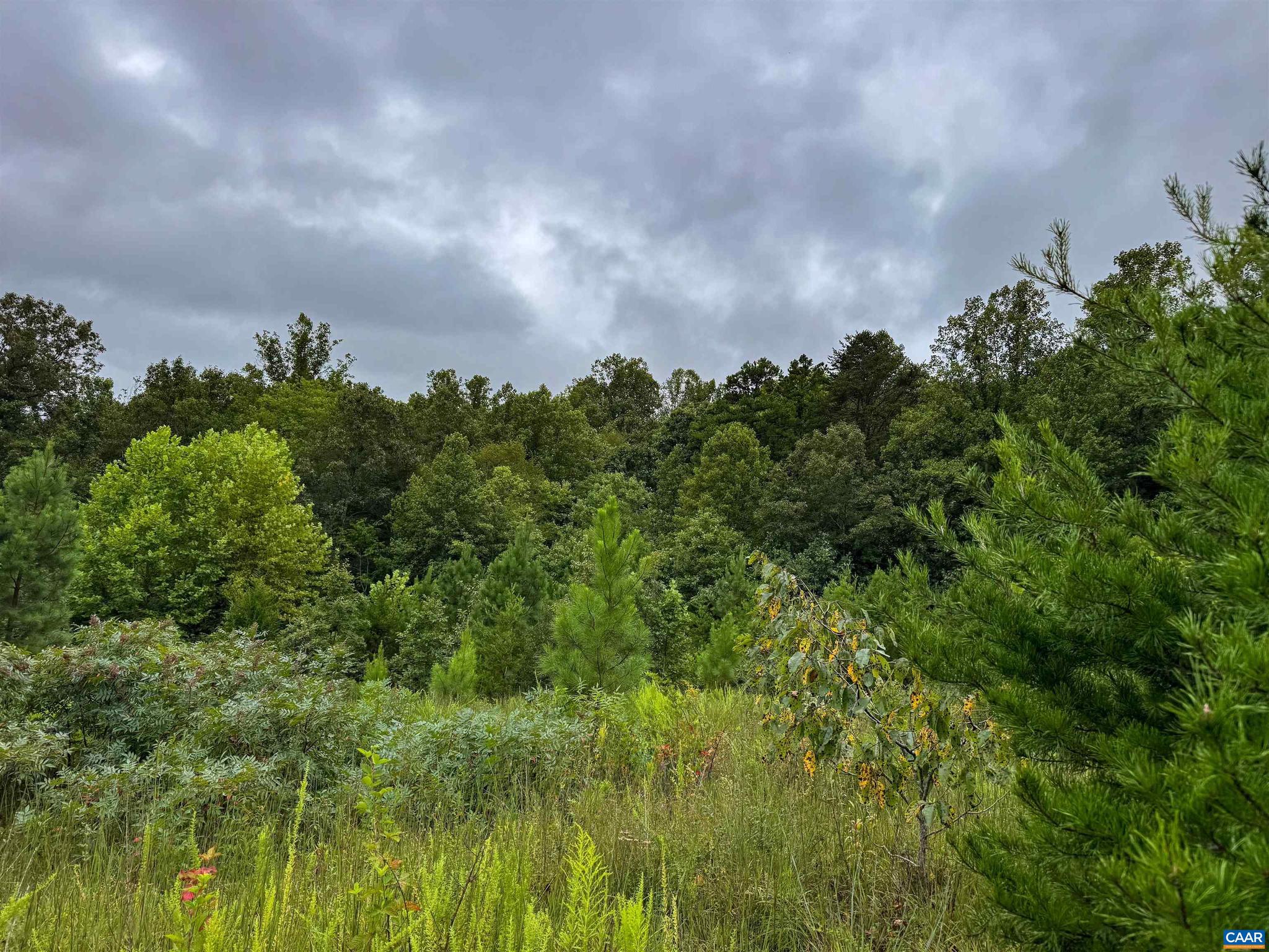 Tba Old Green Mountain Road, Unit 500 Esmont, VA 22937 - Photo 27 of 33