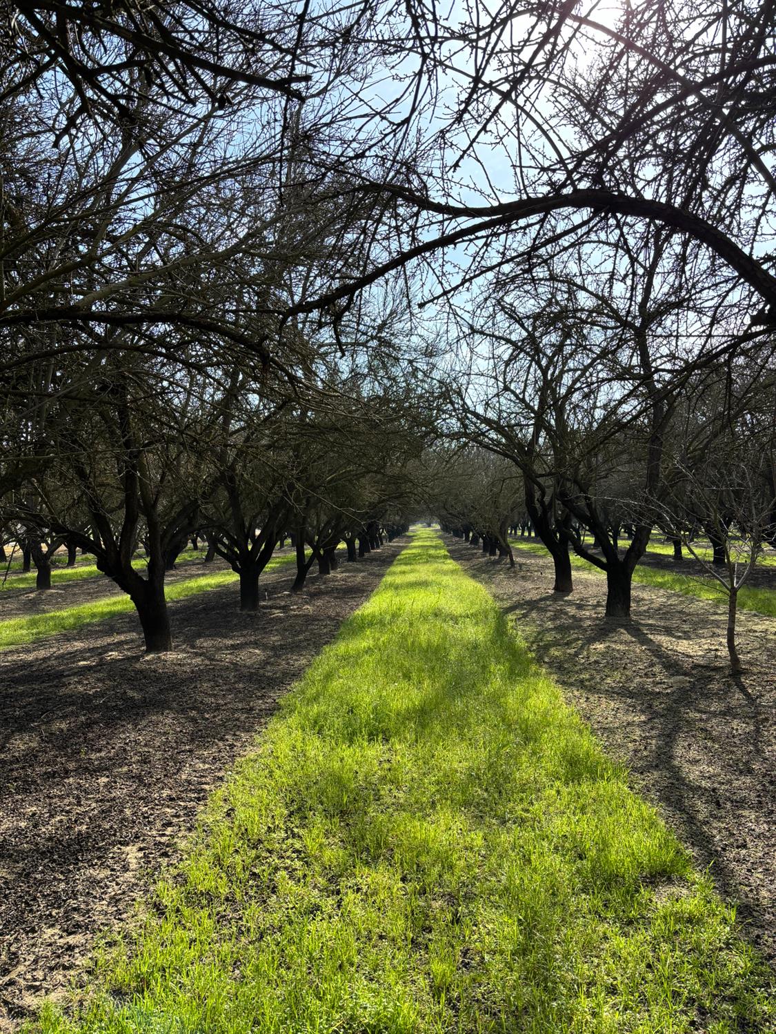 0 August Avenue Delhi, CA 95315 - Photo 27 of 29