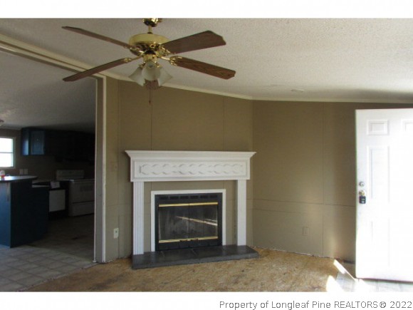 1043 Blue Road Parkton, NC 28371 - Photo 8 of 9 Gallery Image 8