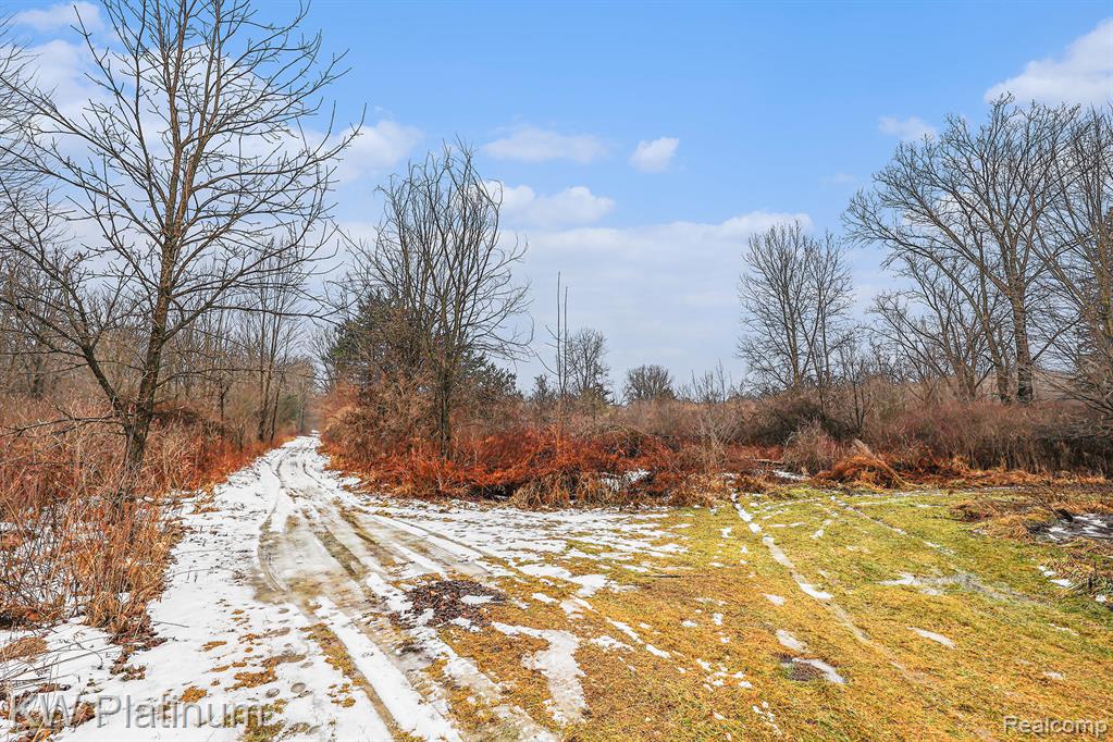 4202 Palms Road Casco, MI 48064 - Photo 18 of 22
