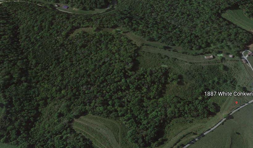 1887 White Conkwright Road Winchester, KY 40391 - Photo 1 of 2 Cheshire White Conkwright Google Earth