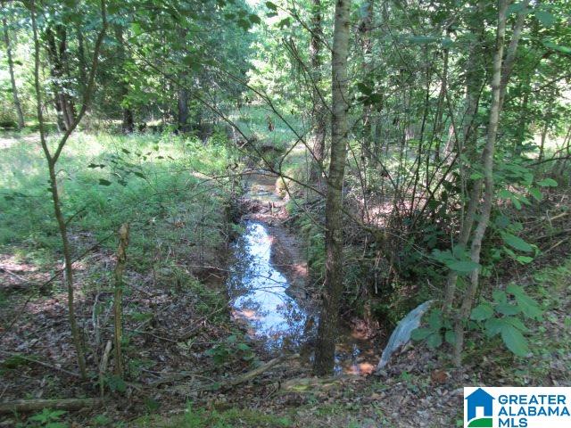 0 Choctaw Trail, Unit 10 Hayden, AL 35079 - Photo 6 of 24