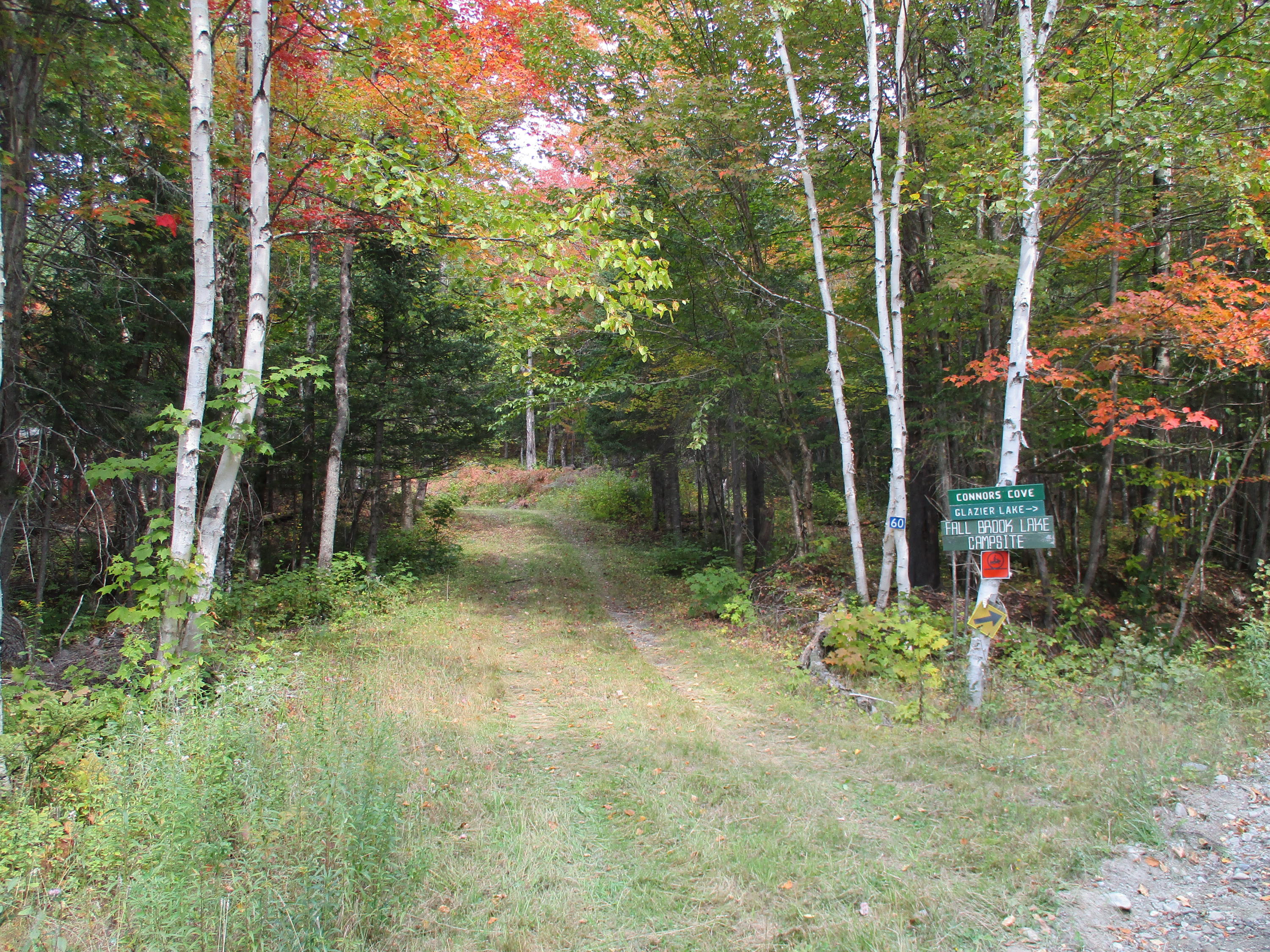 60 Little Black Road St. Francis, ME 04774 - Photo 21 of 35 IMG_1252