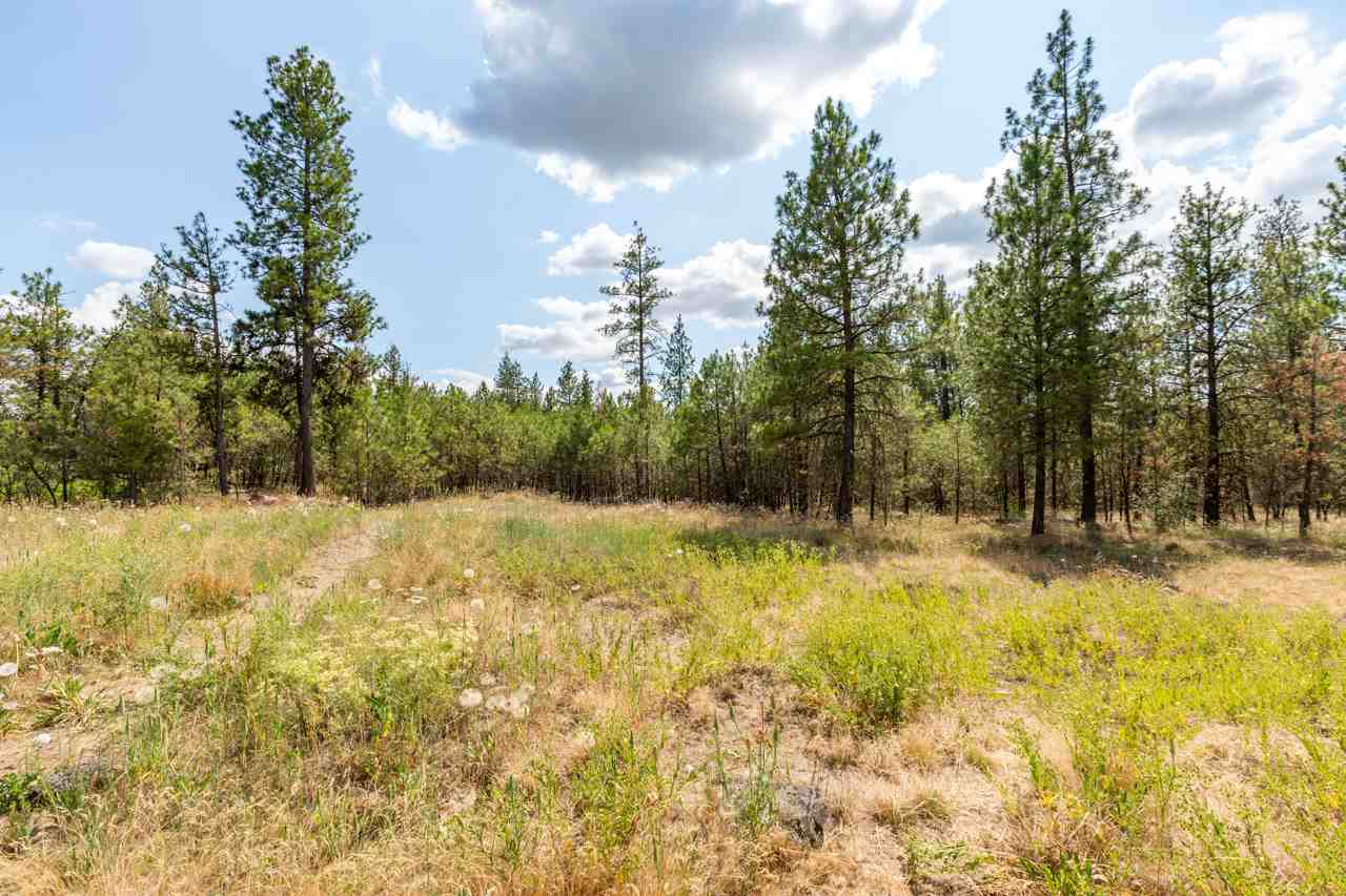 20212 South Malloy Prairie Road Cheney, WA 99004 - Photo 17 of 20