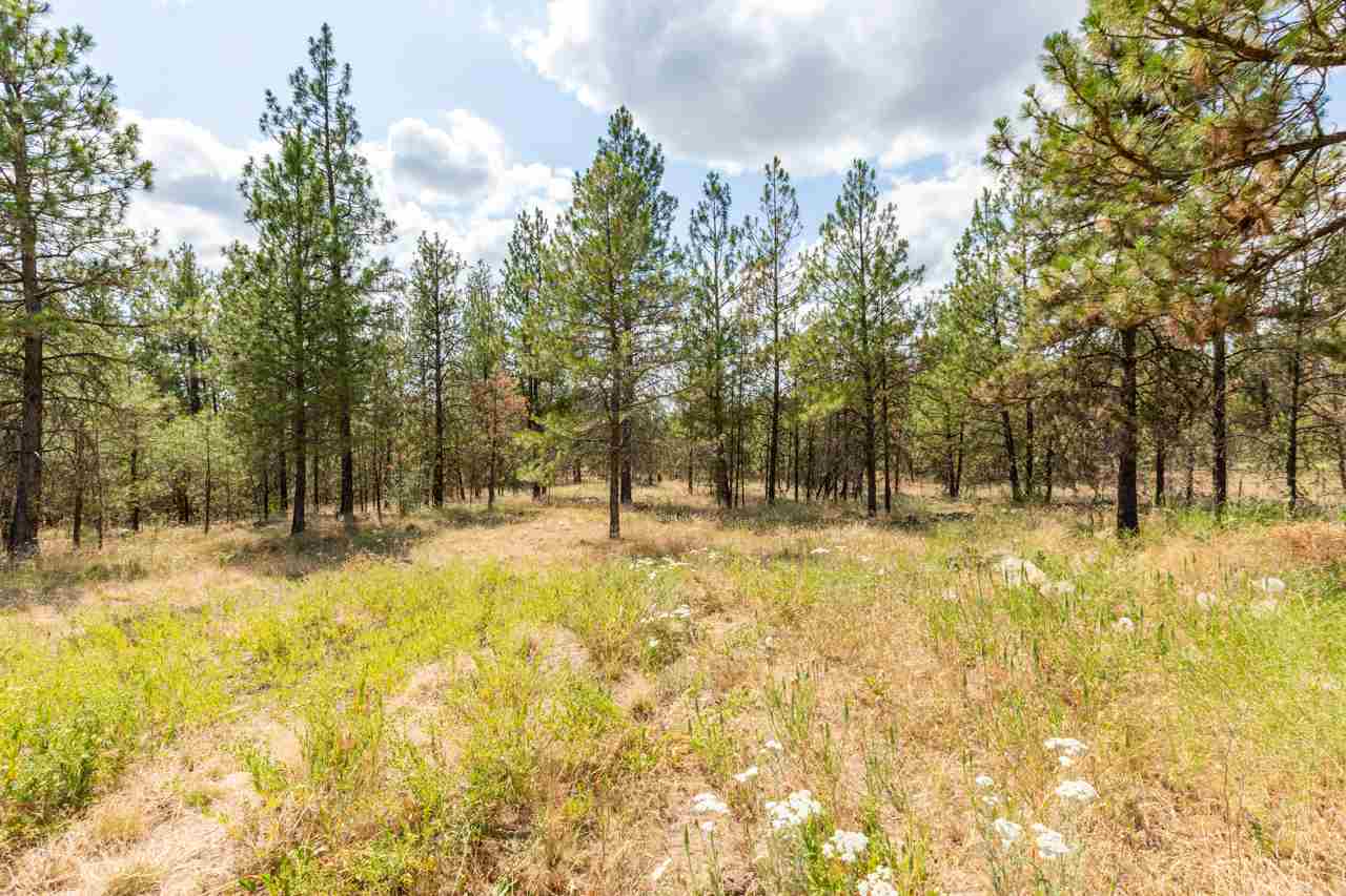 20212 South Malloy Prairie Road Cheney, WA 99004 - Photo 18 of 20