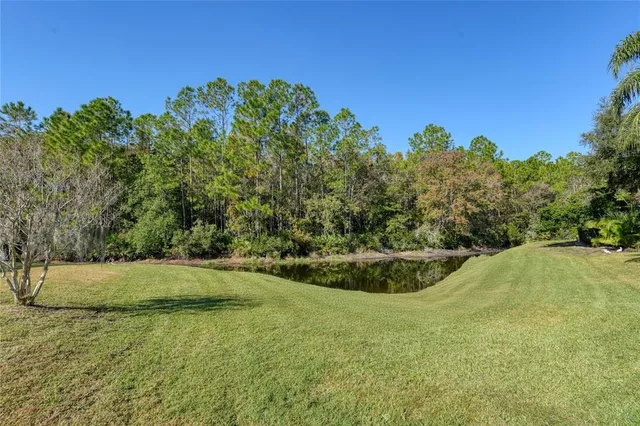 a view of outdoor space and yard