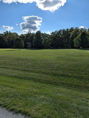 a view of a field with an trees