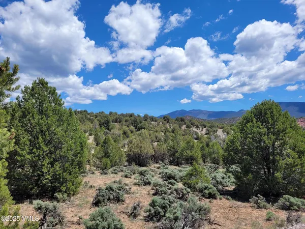 a view of a bunch of trees