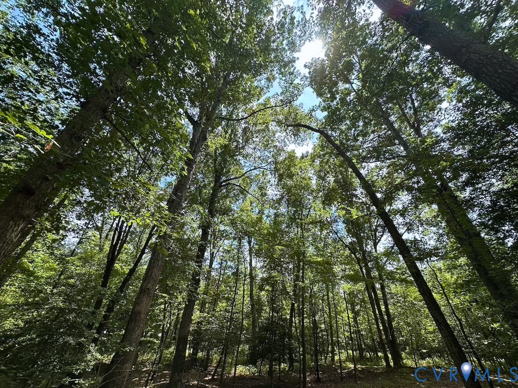 9701 Old Stage Road Prince George, VA 23875 - Photo 21 of 29 a view of a yard