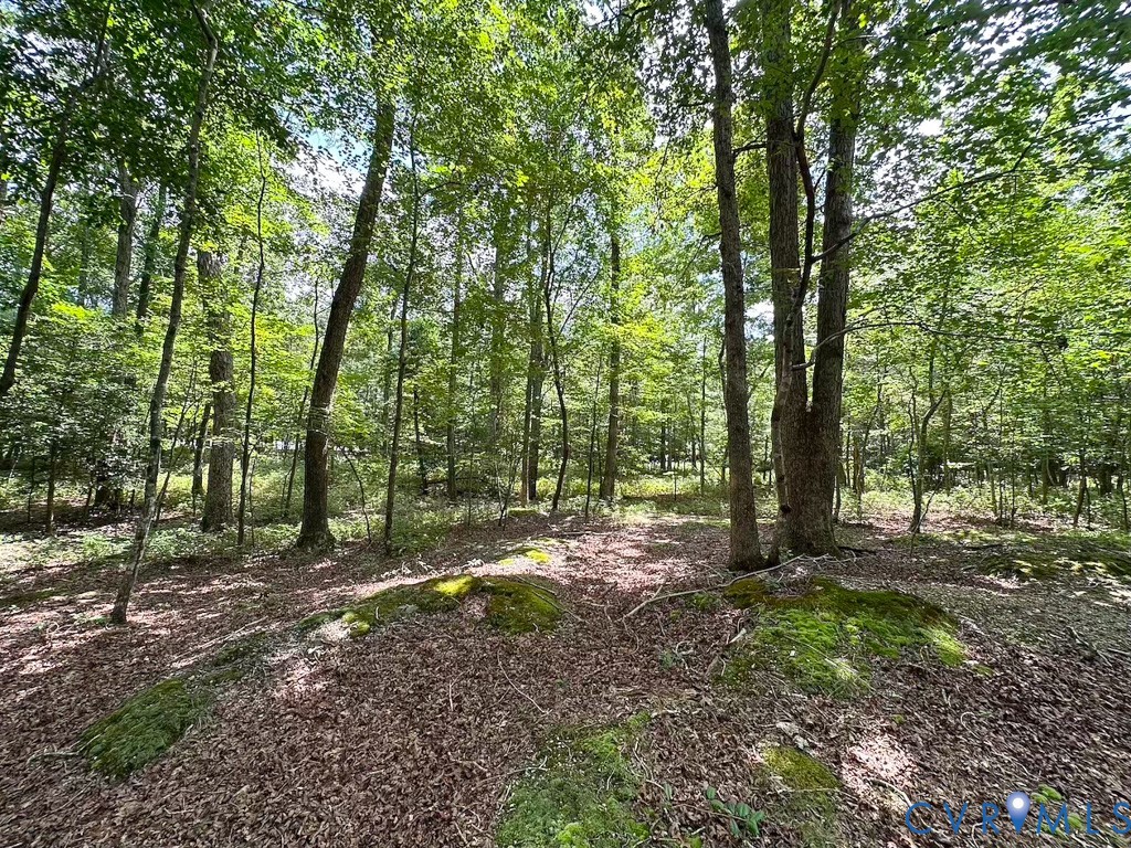 9701 Old Stage Road Prince George, VA 23875 - Photo 25 of 29 a view of a forest with trees in the background