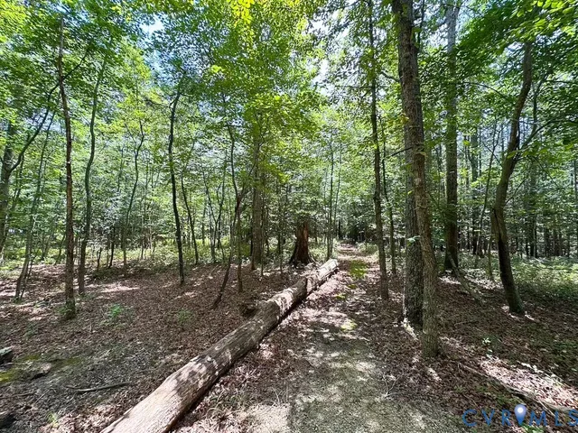 a view of outdoor space and trees