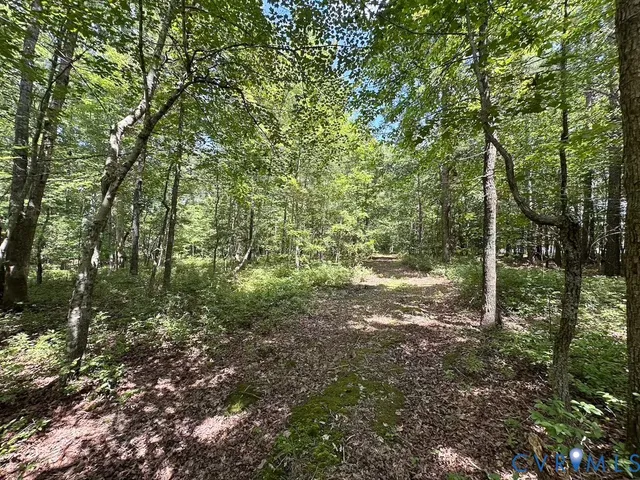 a view of outdoor space and green space