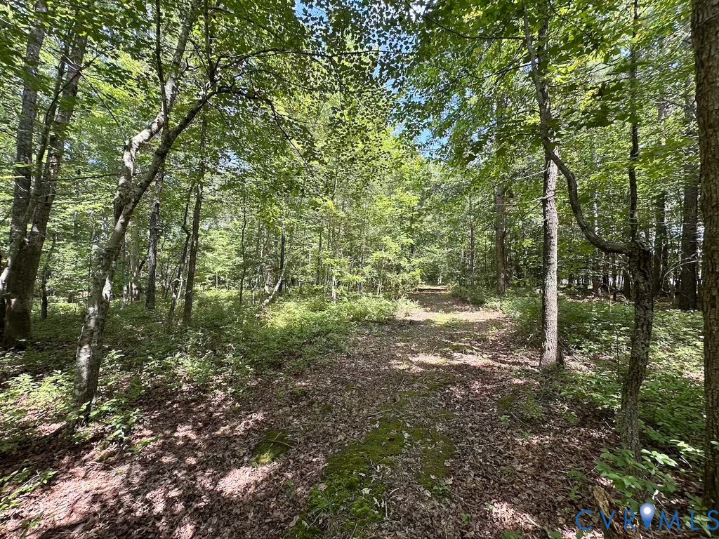 9701 Old Stage Road Prince George, VA 23875 - Photo 27 of 29 a view of outdoor space and green space