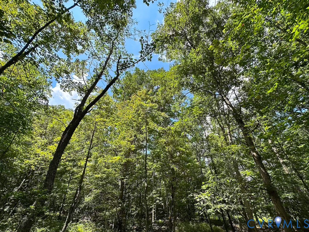 9701 Old Stage Road Prince George, VA 23875 - Photo 28 of 29 a view of a yard