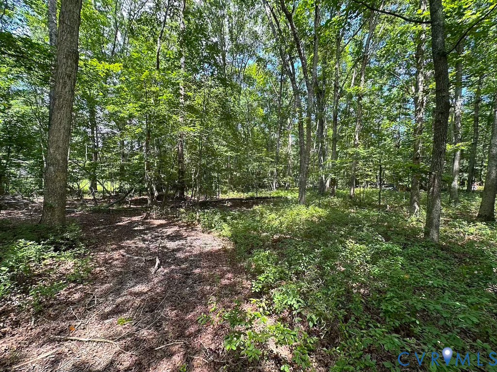 9701 Old Stage Road Prince George, VA 23875 - Photo 29 of 29 a view of outdoor space and trees
