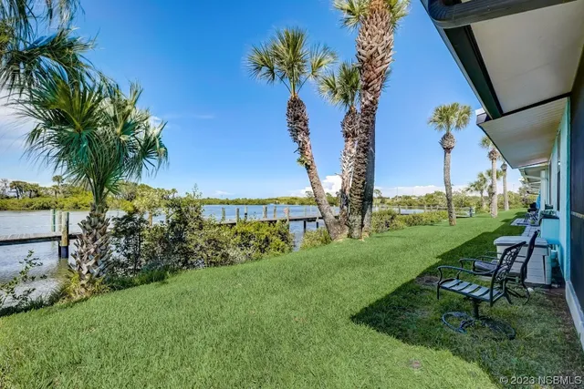 a view of a garden with a tree