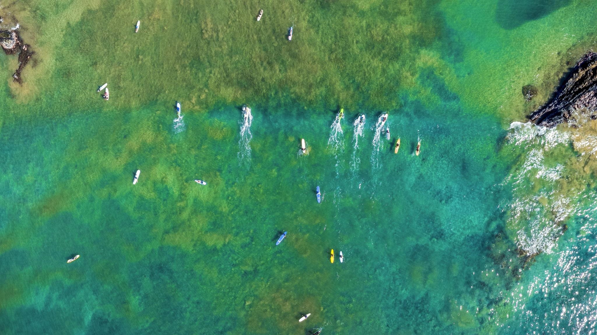 2075 South Kihei Road, Unit 214 Kihei, HI 96753 - Photo 13 of 50 a green yard with lots of tall trees