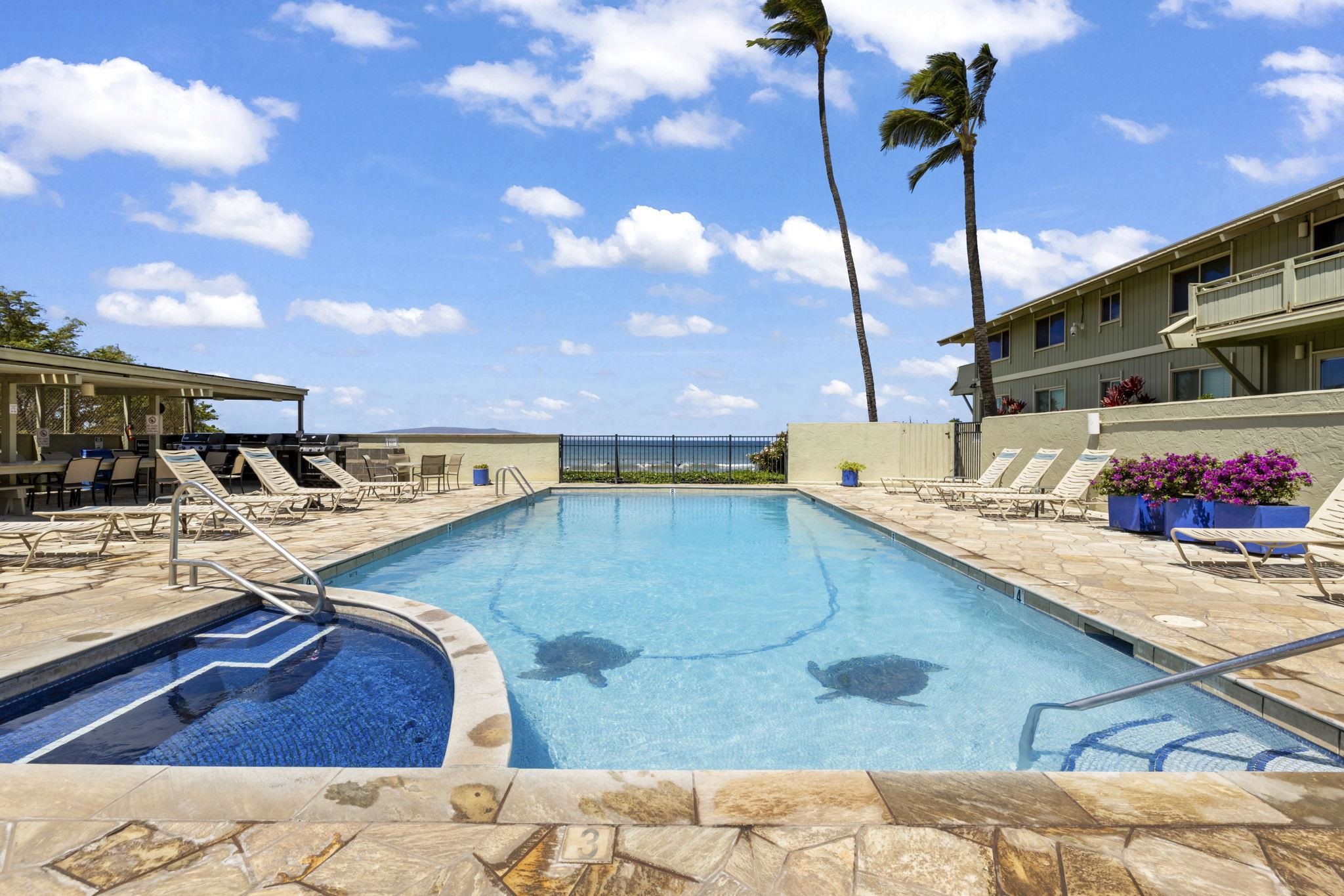 2075 South Kihei Road, Unit 214 Kihei, HI 96753 - Photo 48 of 50 a view of a swimming pool