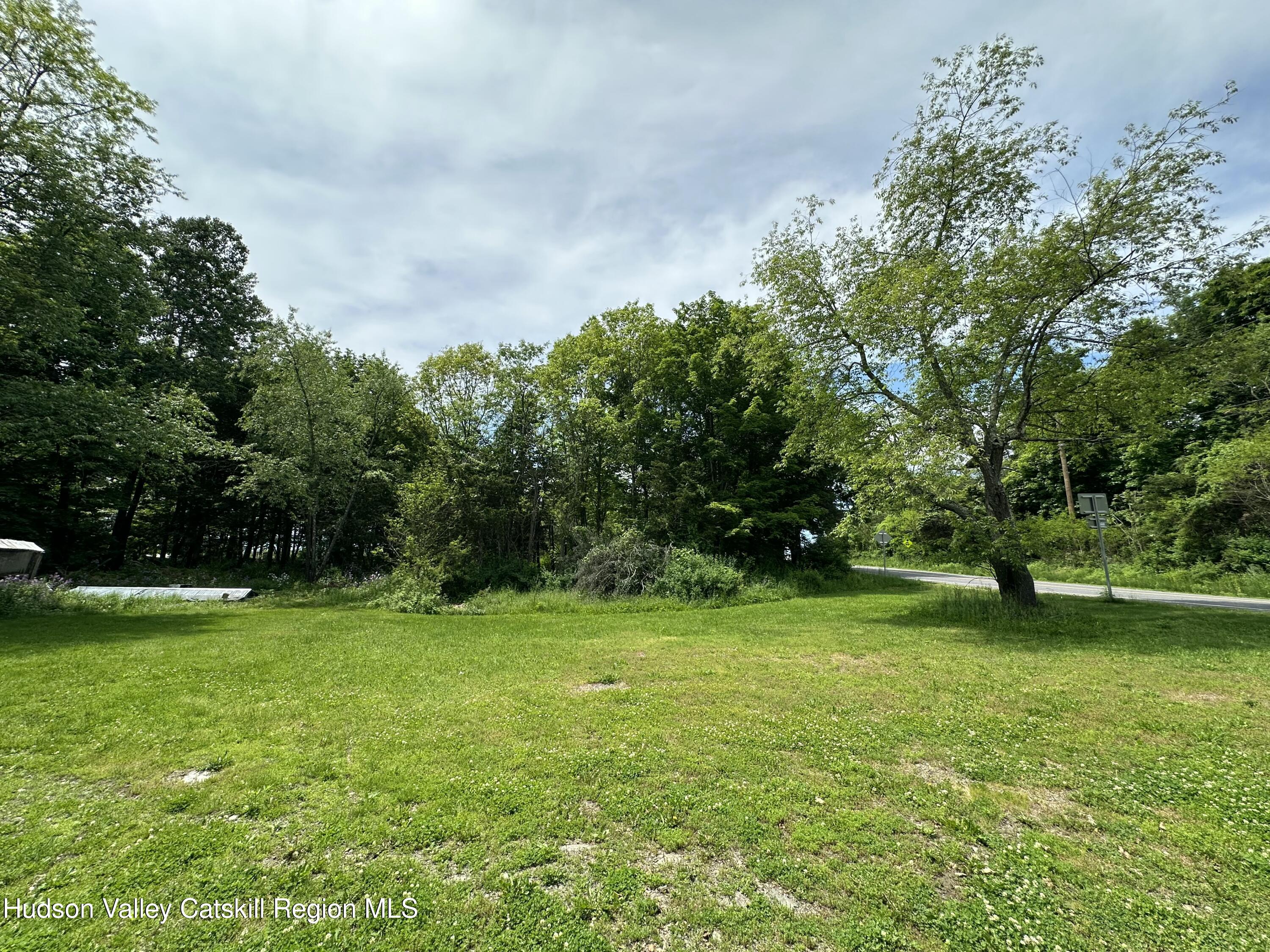 796 Fish And Game Road Claverack, NY 12534 - Photo 20 of 25 Back yard