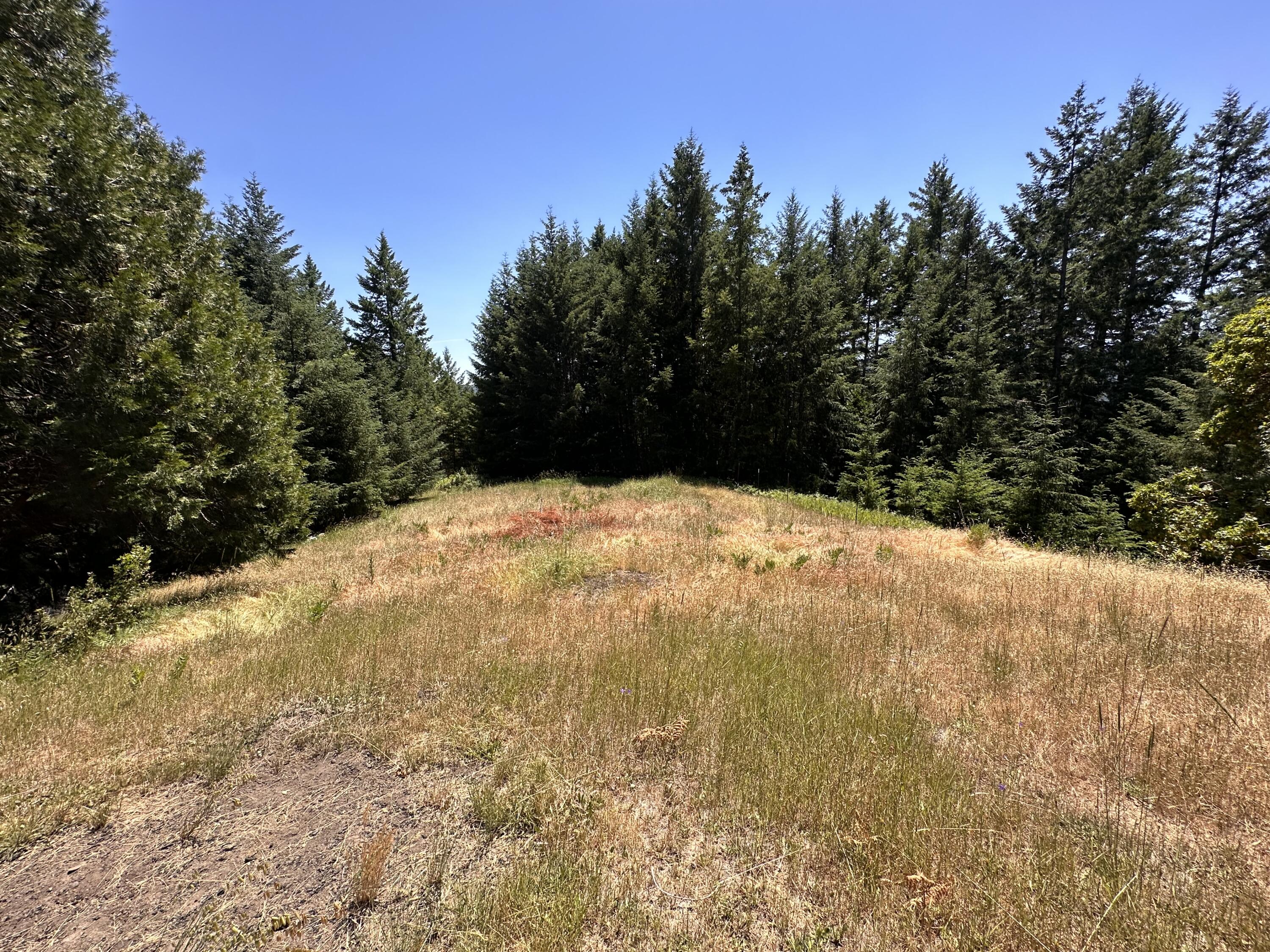950 Powell Crk Road Garberville, CA 95542 - Photo 52 of 78