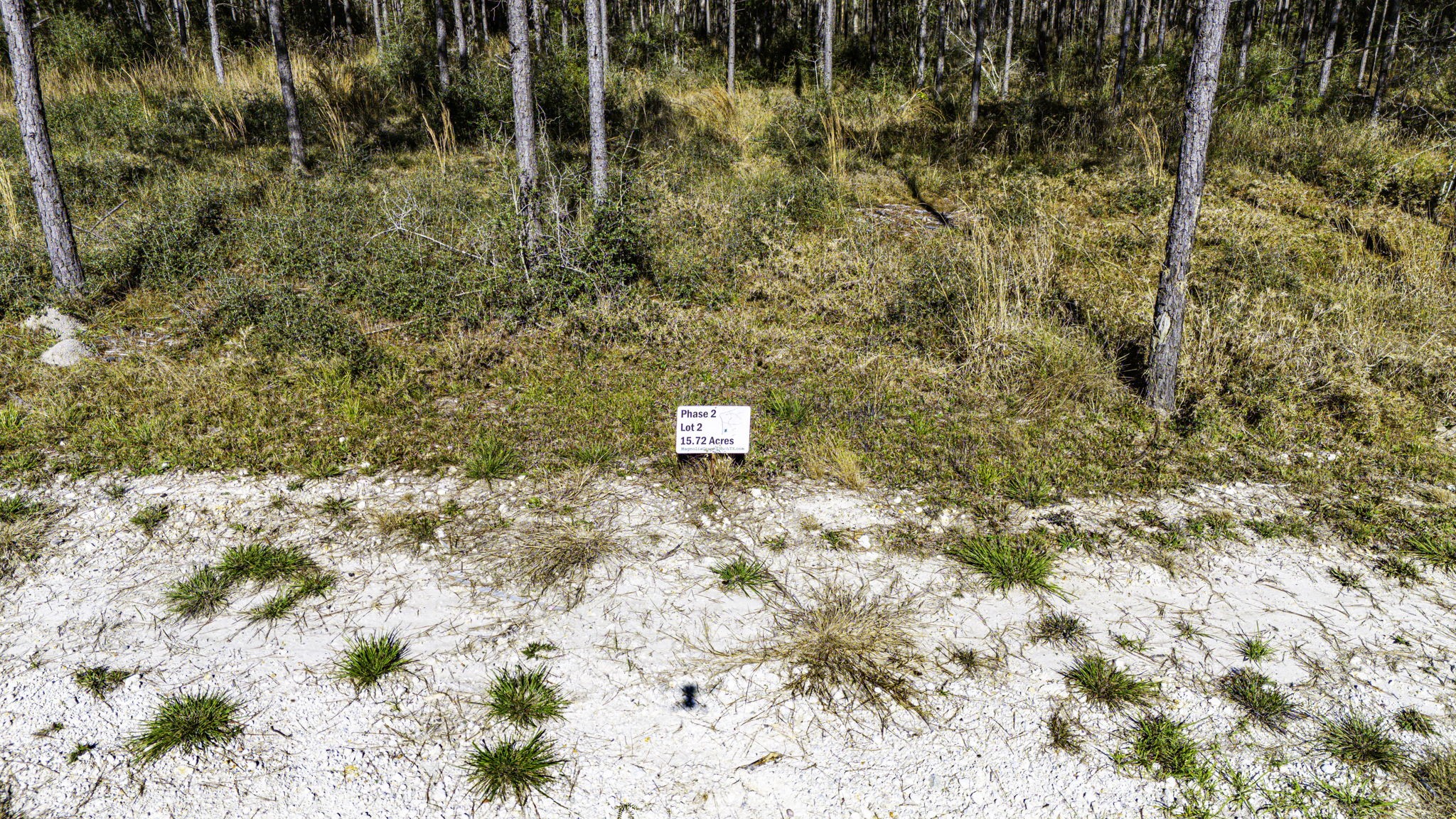 22 Magnolia Ranch Road Onalaska, TX 77360 - Photo 3 of 14 Phase 2 Lot 2