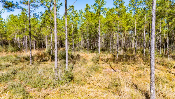 $337,980 | 22 Magnolia Ranch Road, Onalaska, TX 77360