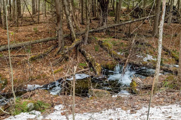 $315,000 | 777 Tenney Pond Road, Newbury, VT 05081
