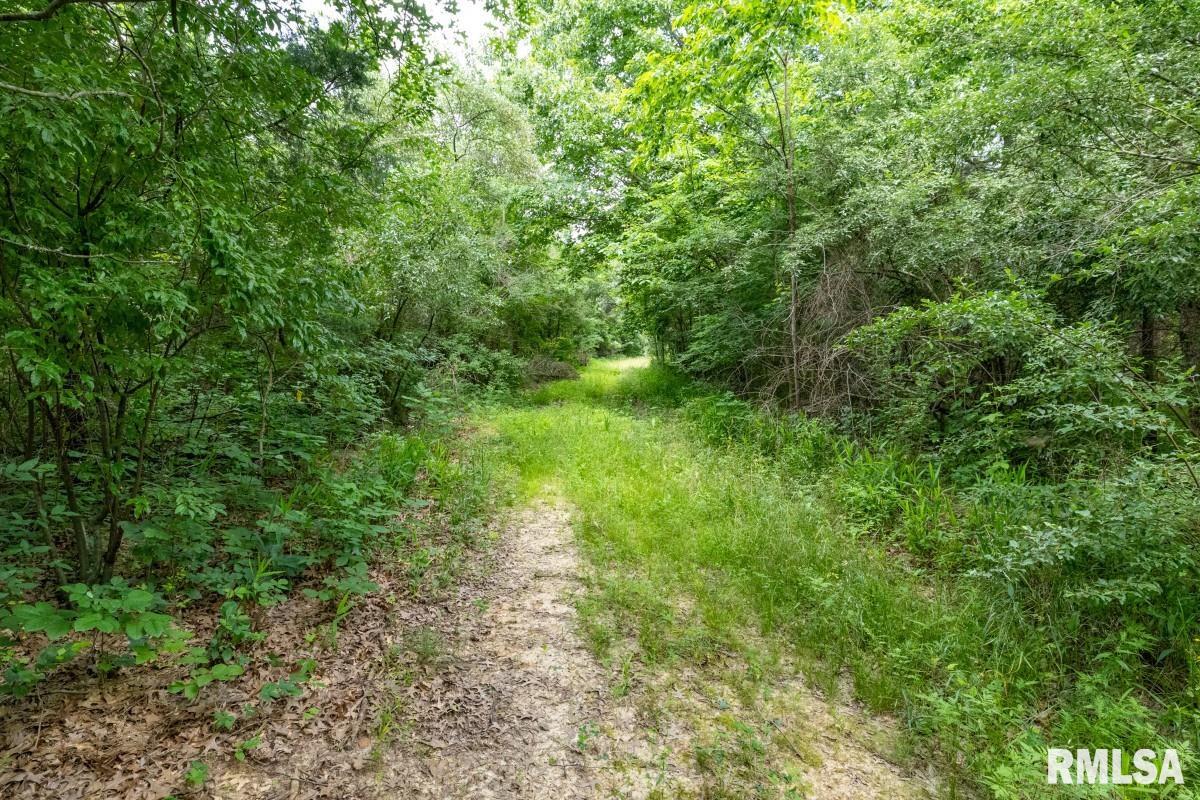 0 Tom Dick Hill Road Stonefort, IL 62987 - Photo 30 of 62