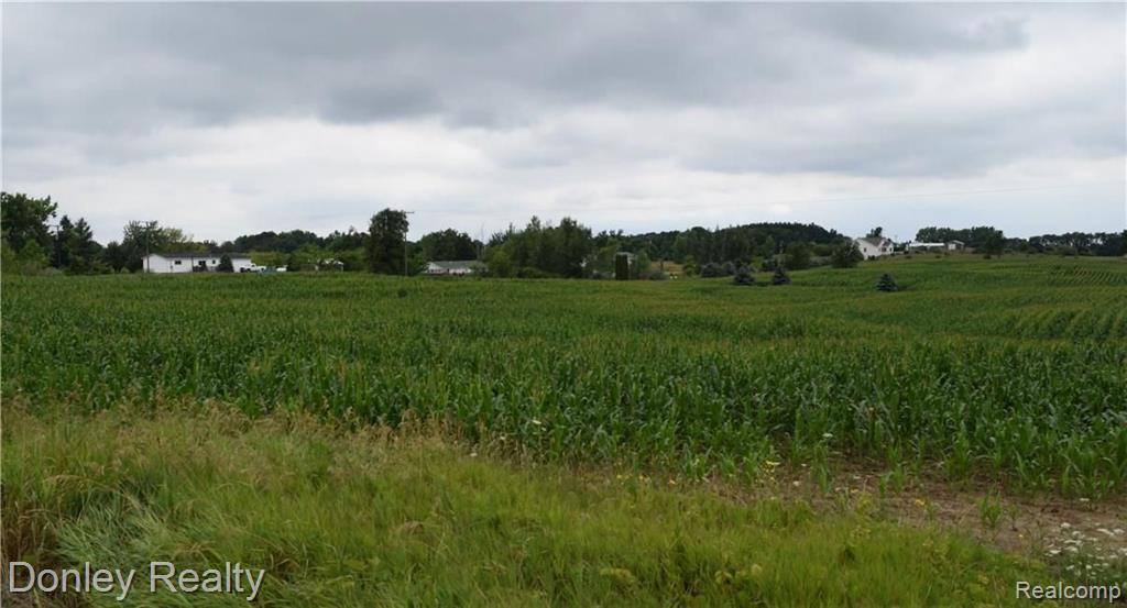 99999 Brown Road Millington, MI 48746 - Photo 2 of 8