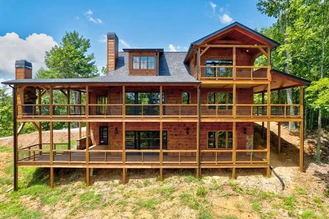 a close up of a tree in a garden