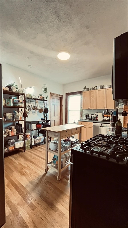 3 Nira Avenue, Unit 2 Boston, MA 02130 - Photo 5 of 9 a kitchen with lots of counter top space